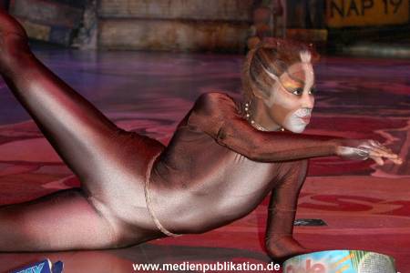 Cats 04012011 003