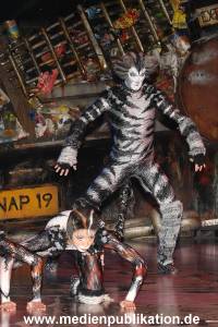 Cats 04012011 006