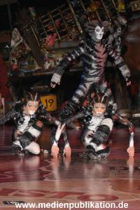 Cats 04012011 007