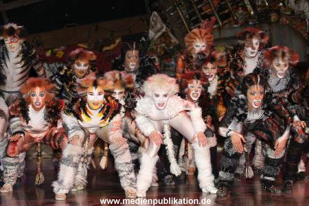 Cats 04012011 014