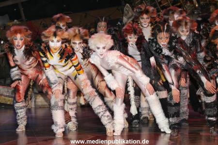 Cats 04012011 015
