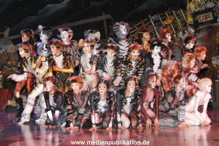 Cats 04012011 016