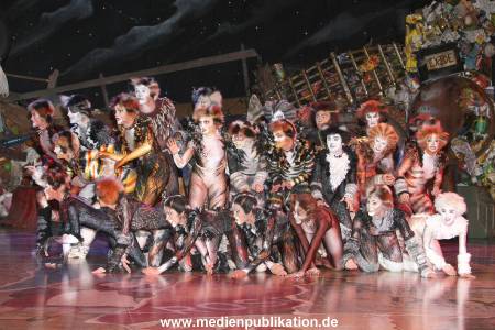 Cats 04012011 017