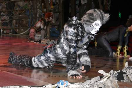 Cats 04012011 018