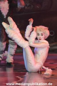 Cats 04012011 021