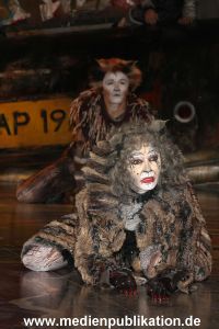 Cats 04012011 045
