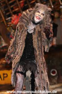 Cats 04012011 049