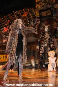 Cats 04012011 050