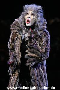 Cats 04012011 051