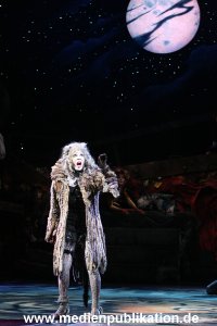 Cats 04012011 057