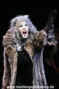 Cats 04012011 058