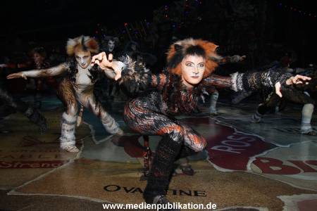 Cats 06012011 187