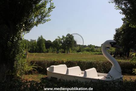 IMG 3708