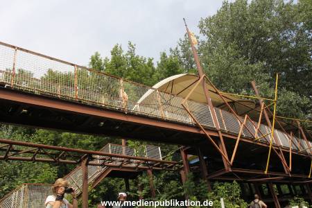 IMG 3713