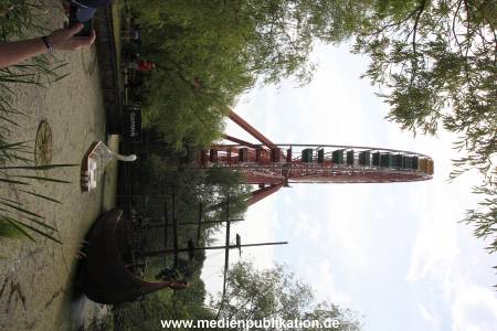 IMG 3721