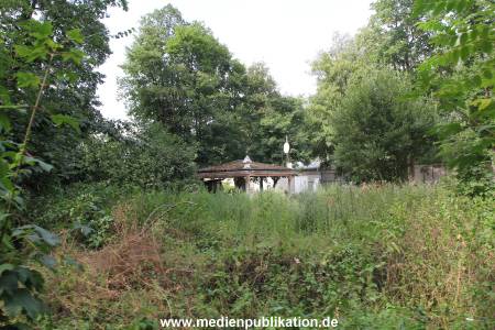 IMG 3731