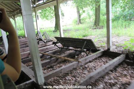IMG 3734