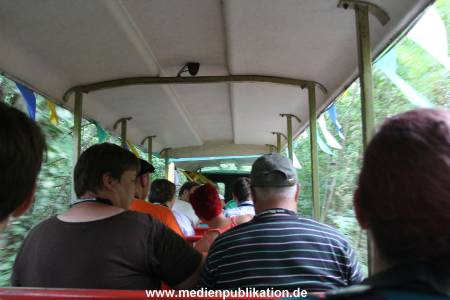 IMG 3746