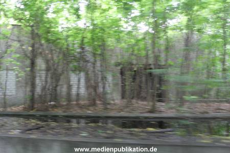IMG 3750