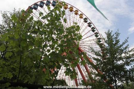 IMG 3753