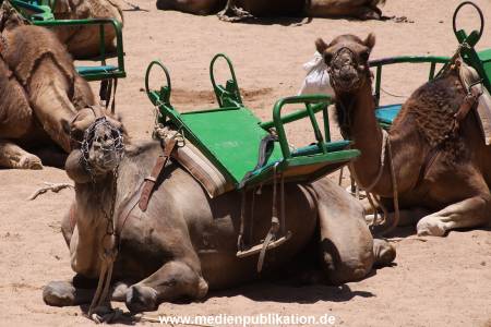 Gran Canaria 072011 015