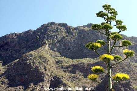 Gran Canaria 072011 017