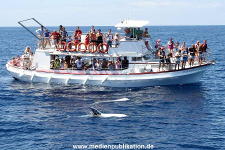 becher Gran Canaria 2012 005