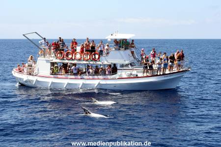 becher Gran Canaria 2012 006