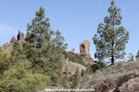 becher Gran Canaria 2012 007