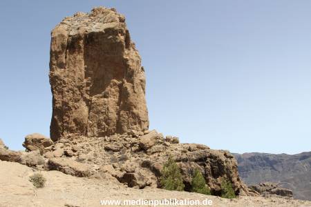 becher Gran Canaria 2012 011