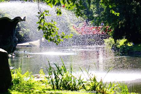 Hagenbeck Archiv 15032009 018.jpg
