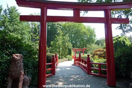 Hagenbeck Archiv 15032009 024.jpg