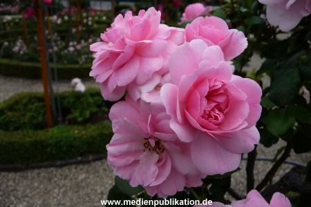 Herrenhaeuser Gaerten 14062009 045