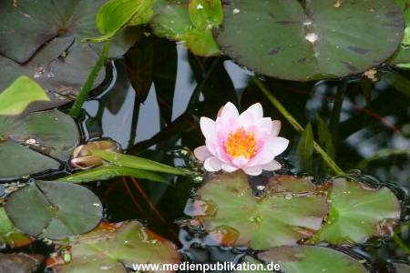Herrenhaeuser Gaerten 14062009 085