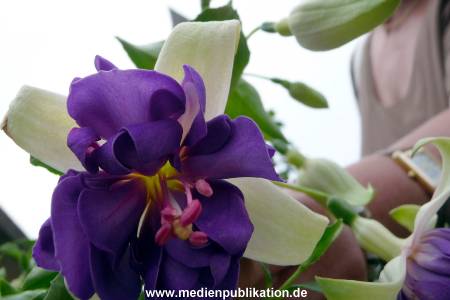 Herrenhaeuser Gaerten 14062009 099