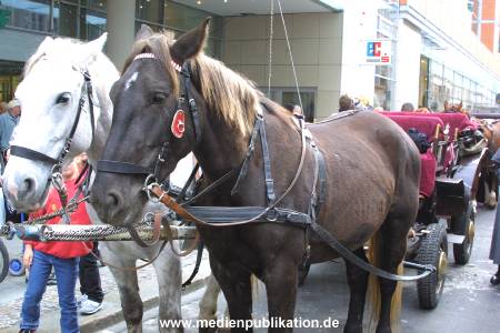 leipzig 2002 leipzig 023