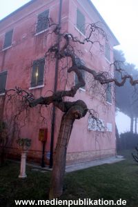 Venedig 122008 339