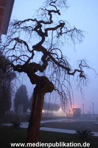 Venedig 122008 344