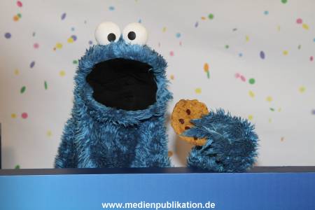 Sesamstrasse 07012013 063