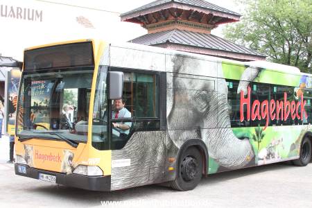 Hagenbeck 21072011 015