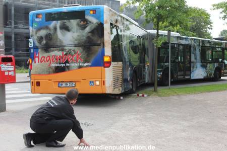 Hagenbeck 21072011 023