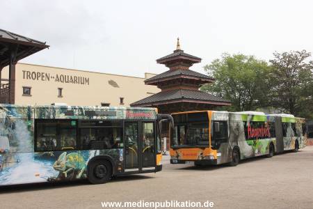 Hagenbeck 21072011 034