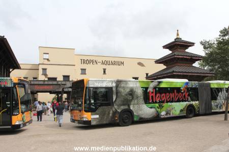 Hagenbeck 21072011 036