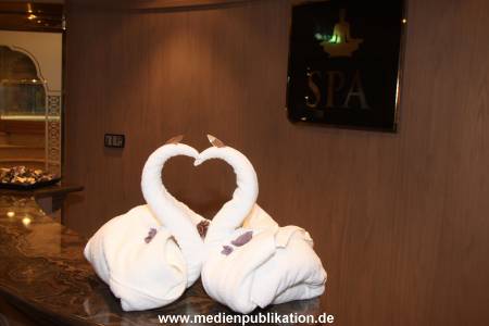 MSC Rundgang 05032010 055