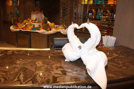 MSC Rundgang 05032010 065