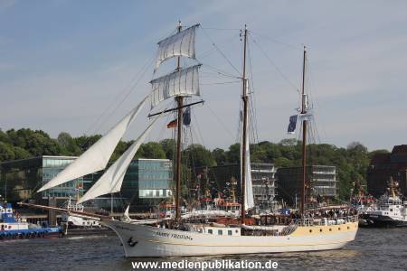 Hafengeburtstag 07052011 015