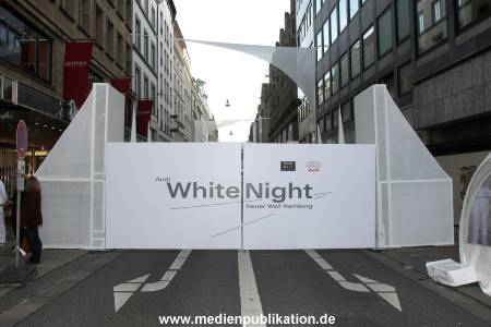 Audi WhiteNight 12072008 003
