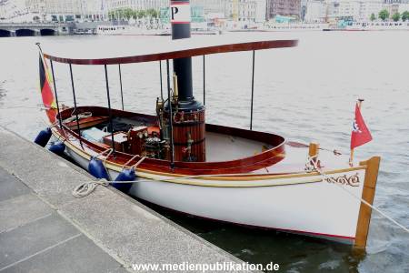 Dampfboot Festival 13062009 014