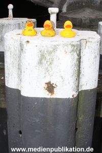 Entenrennen 13092009 065