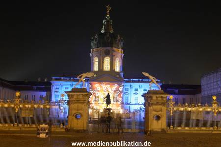 Festival of Lights 26102008 037